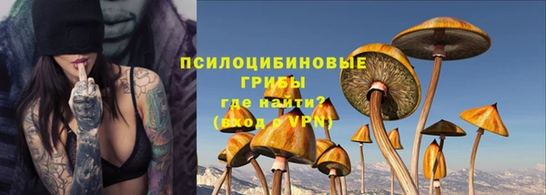 мдпв Заволжск