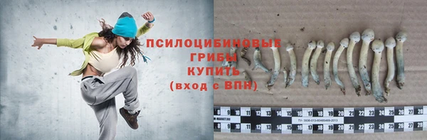 мдпв Заволжск