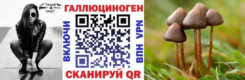 нарко площадка клад что такое Сольвычегодск Псилоцибиновые грибы ЛСД ОМГ ОМГ как войти