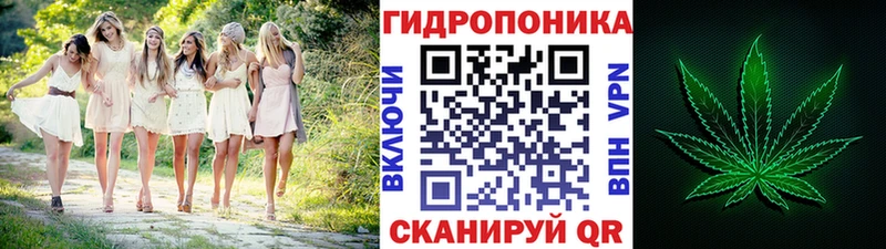 купить  сайты  блэк спрут ССЫЛКА  Бошки марихуана сатива  Сольвычегодск 